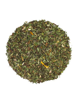 Thé vert TeaTap Morning Detox Bio